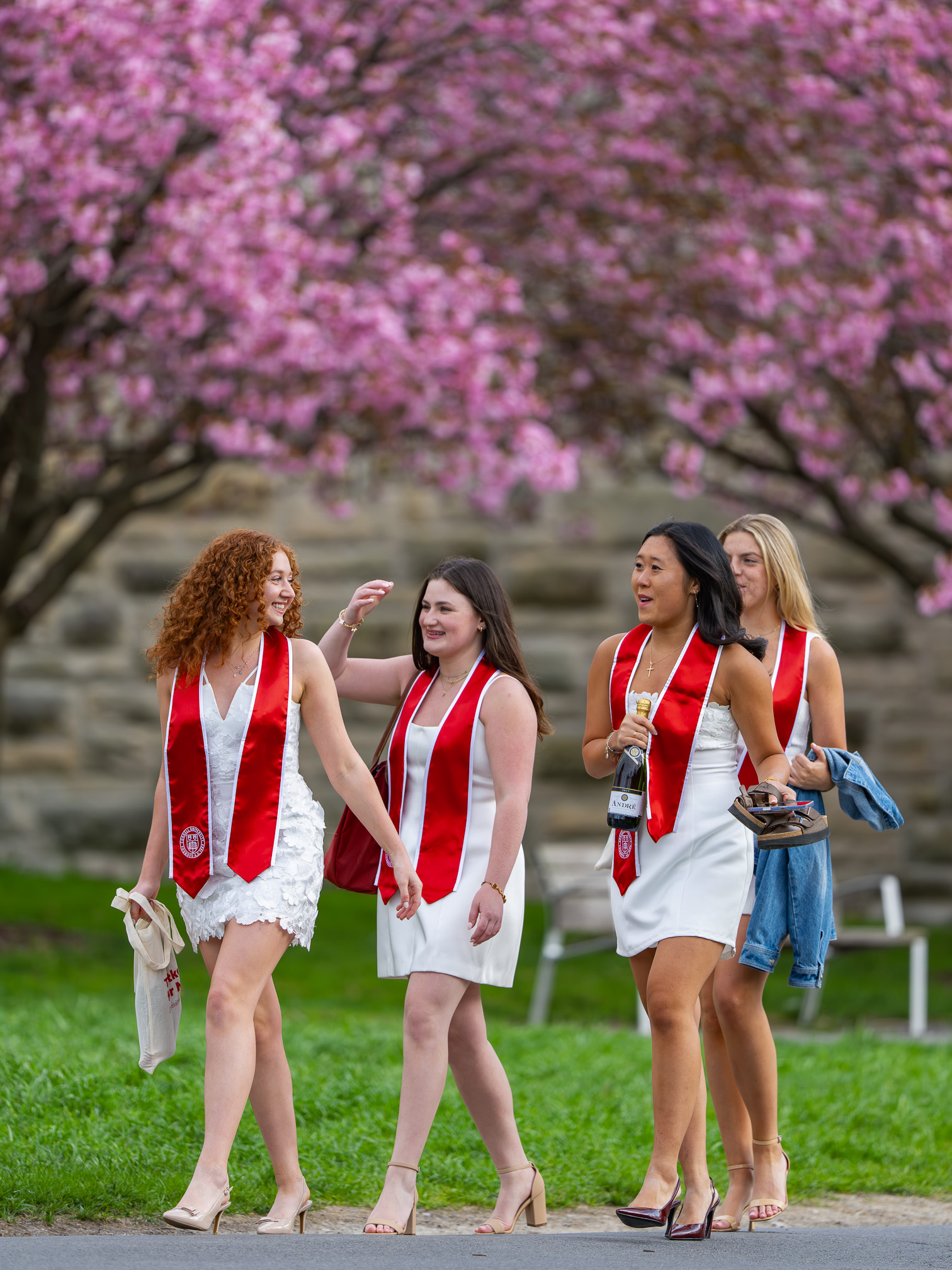 Cornell Graduation 2026